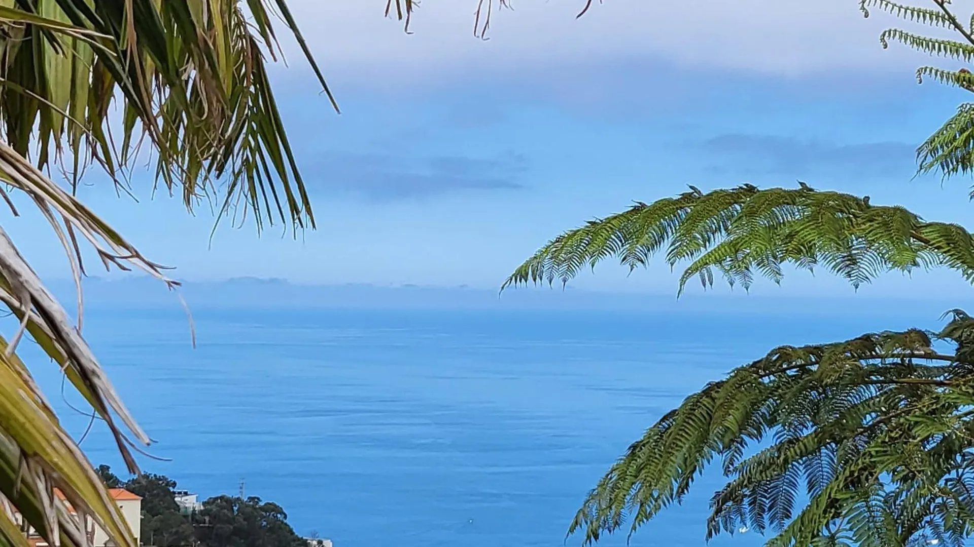 Διαμέρισμα Boutique Chalet In Calheta Arco da Calheta  Πορτογαλία